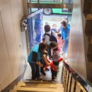 어린이 나라 이미지