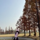 도봉-쌍문-도봉-1333 이미지