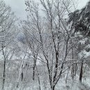 삼수령 휴게소 이미지