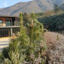 좋은펜션민박 이미지