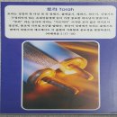 국제성서박물관 Daum카페