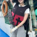 신성민박 | [인천 섬여행 숙박패키지] 소이작도 신성펜션 낚시패키지 후기 (국내여행지 추천)