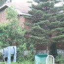 신산리-1 이미지