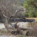 덕암1길 이미지