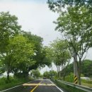 칠보마트 이미지