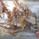 매화도서관 이미지