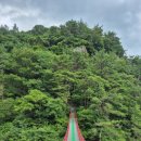 8월25일(화)경남고성- 구절산과 거류산 (居流山, 571.7m)블랙야크100+ 화요정기산행 이미지