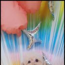 멍했냥 평택본점 이미지