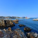 부산항구회집