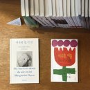 에스닷스튜디오 | 대전 당일치기 코스 중구 다 털었습니다. 소품샵 투어 9곳 다녀온 추천 후기