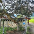 담양용대리석교 이미지