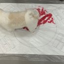 으르렁대 이미지