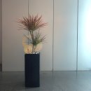 레인보우디자인 이미지