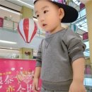 꼬맹이´S 네이버블로그
