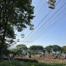 코끼리가든 | [과천나들이] 서울대공원 장미원축제 테마가든 리프트&amp;코끼리열차 동물원데이트 과천주말나들이추천