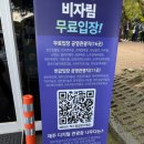 비자림 | 제주 여행, 천년의 숲 비자림 다녀온 후기 (무료입장 방법까지!)