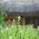 텅 빈 마음에 .. 정우경 이미지
