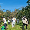 청도군-1 이미지