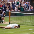 윔블던 이미지