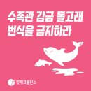 [핫핑크돌핀스 성명서] 수족관 감금 돌고래 번식을 금지하라 이미지