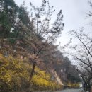 천태로 | 밀양백숙 맛집 천태산장 건강한 한방오리백숙 후기