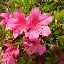 변산보건지소 이미지