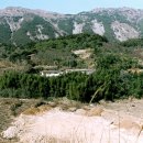 의령 보리사지 이미지