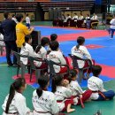 마스터케이 태권도 이미지