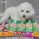 이나바식품코리아 주식회사 | 이나바 강아지보양식 닭가슴살과 녹황색채소&amp;소고기와 녹황색채소 파우치로 체력 회복