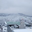 국군수도병원 이미지