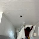 도배마을농장 이미지