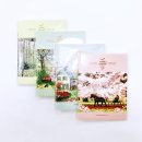 썬라인즈 이미지