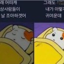 김유식 네이버블로그