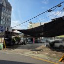 매일카프라자 이미지