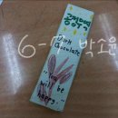 공정무역 초콜릿 포장지 만들기 장기초 6-7 박소윤 이미지