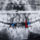 우리쥬니어치과의원 이미지