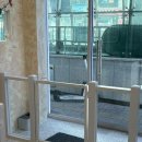 행복펫 애견미용실 | 부산 수영 애견미용 고든펫 비숑 귀툭튀 위생목욕 후기