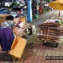 학동할머니 이미지