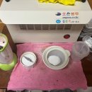 파마트삼보약국 이미지