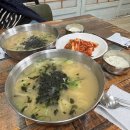 둘리왕만두 | 다대포 로컬 맛집 추천 양평칼국수 본점 주차 가격 후기