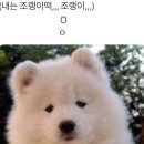 월전수산 이미지