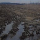 단평2리 이미지