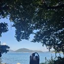 아이밸리 군포 | 거제 1박2일 부모님 여행 1일차 군포마을땅굴, 미피카페, 바람의언덕, 거제파노라마케이블카, 한꼬막두...