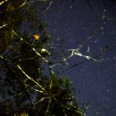 별아래 펜션 이미지