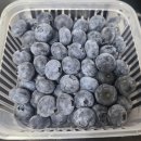 정성고기 과일포유 이미지