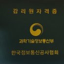 정보기술감리원