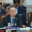 시티식자재마트 이미지