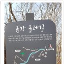 비산비야 Daum카페