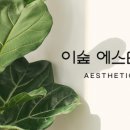 숲에스테틱 네이버블로그