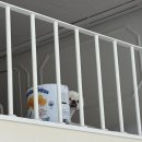 다니커피&스콘 | [대전/다니앤제이 스튜디오] 동생 웨딩 촬영 따라갔다가 작가님에게 반하고 온 썰 1탄